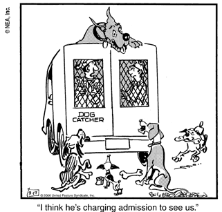 marmaduke
